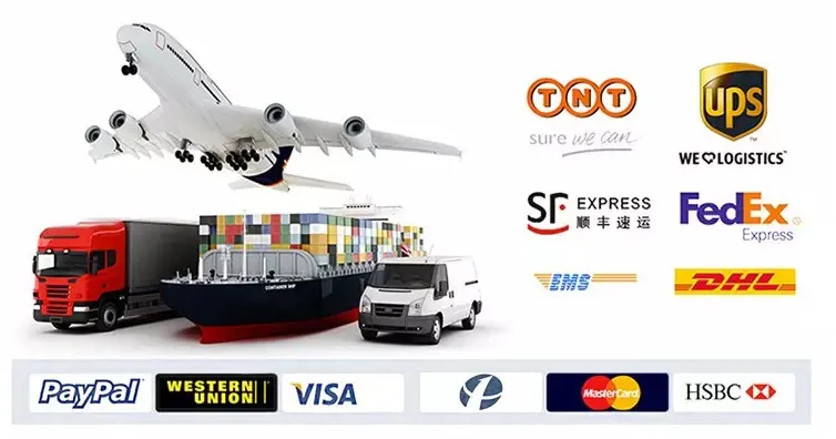 11044-05D00 Automatic Parts Cylinder Head Gasket for Nissan Td42