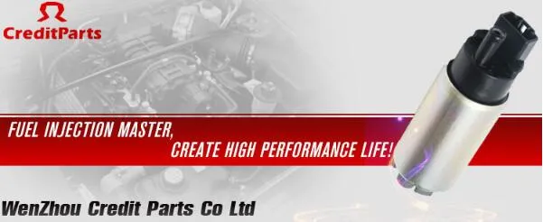 3c0919050AA Gasoline Fuel Injection Pump for Volkswagen Sale (CRP-434501D)