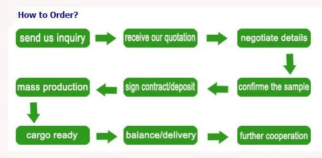 Aeb MP48 Style ECU for 4cly Engine LPG CNG Autogas