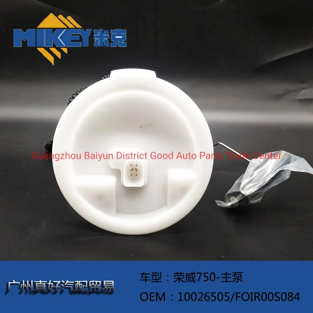Applicable to Rongwei 750 Main Pump Fuel Pump Assembly, OEM: 10026505/Foir00s084. Fuel Pump Assembly