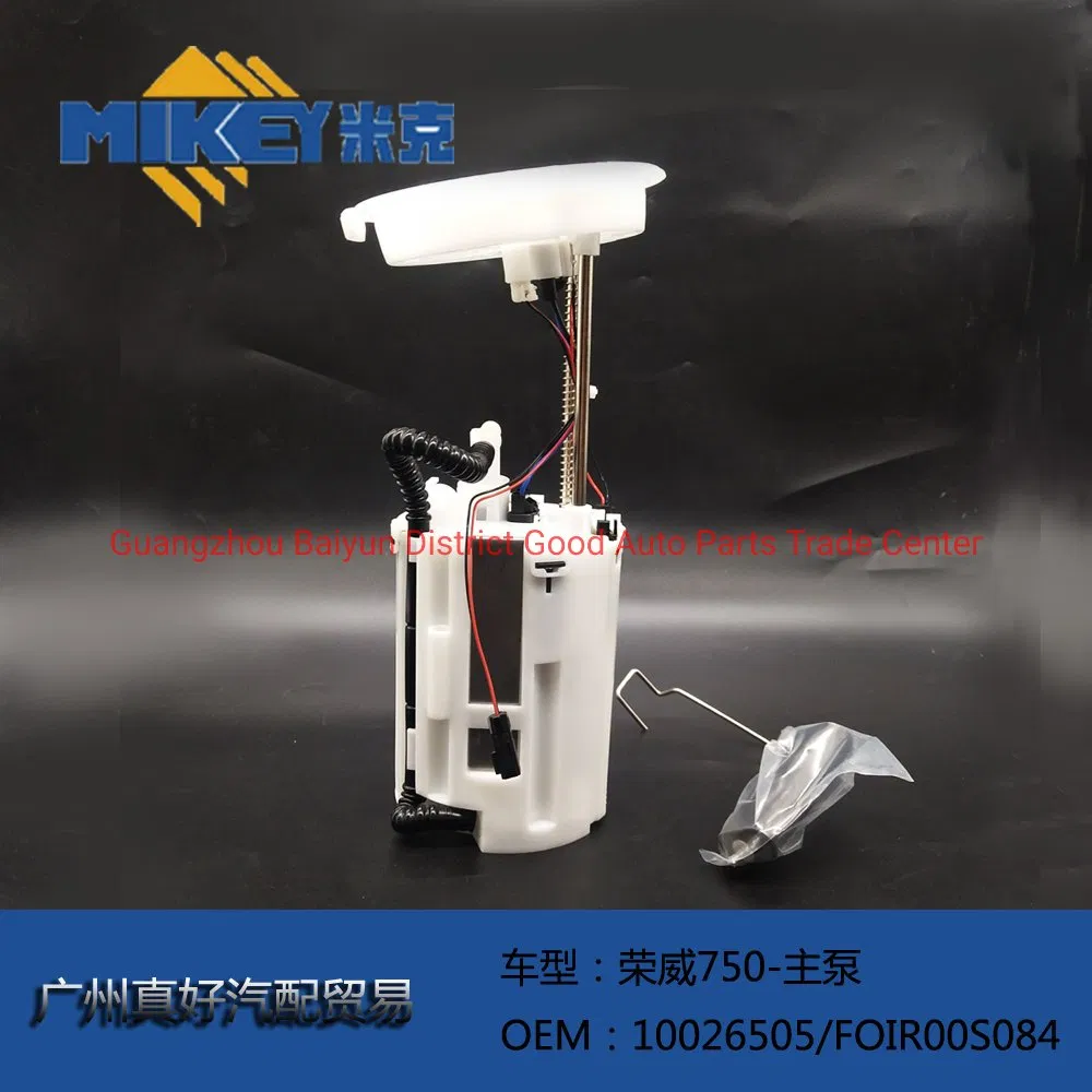 Applicable to Rongwei 750 Main Pump Fuel Pump Assembly, OEM: 10026505/Foir00s084. Fuel Pump Assembly