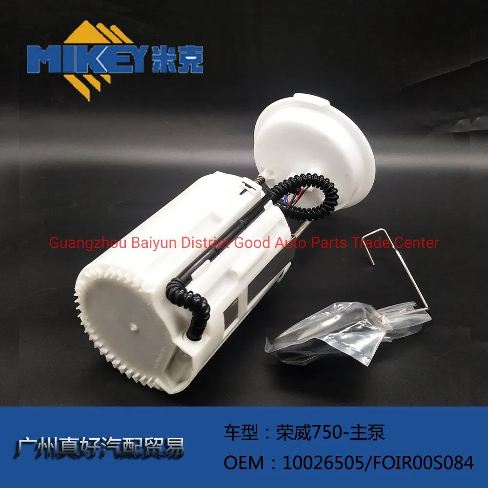 Applicable to Rongwei 750 Main Pump Fuel Pump Assembly, OEM: 10026505/Foir00s084. Fuel Pump Assembly