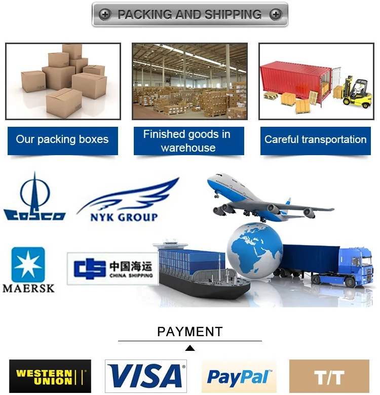 Auto Camshaft OEM 13501-38020 13521-38030 Timing Chain Kit