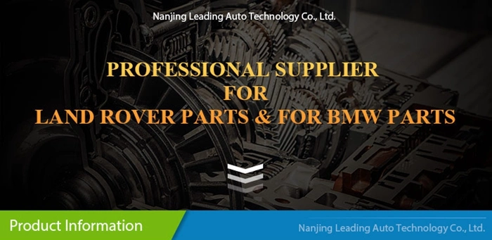 Auto Fuel Pump for Land Rover Freelander 2 06- Lr020016 Lr038601