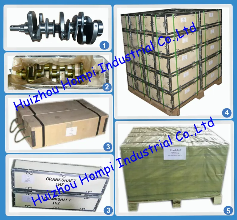 Auto Parts Forged Steel Crankshaft for Man D2066 51021010673