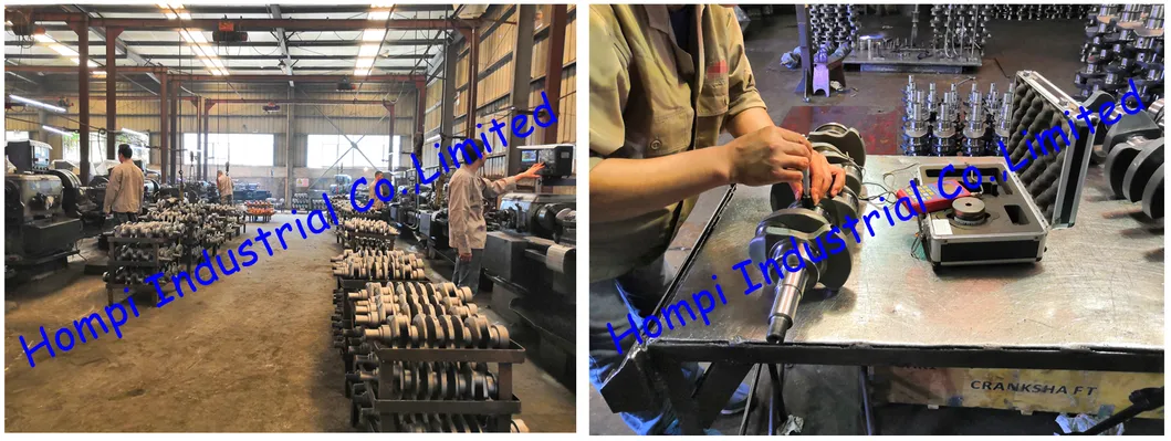 Auto Parts Forged Steel Crankshaft for Man D2066 51021010673