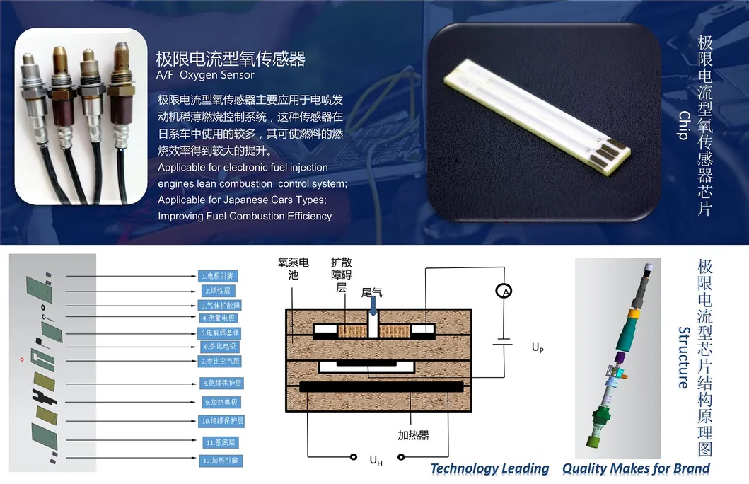 Auto Parts Oxygen Sensor 89467-0d050