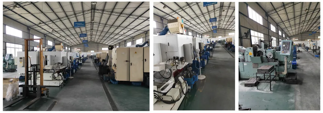 Auto Parts Valve Tappet/Valve Lifter for Ford/Lincoln/Mercury 5750692 Ht2083