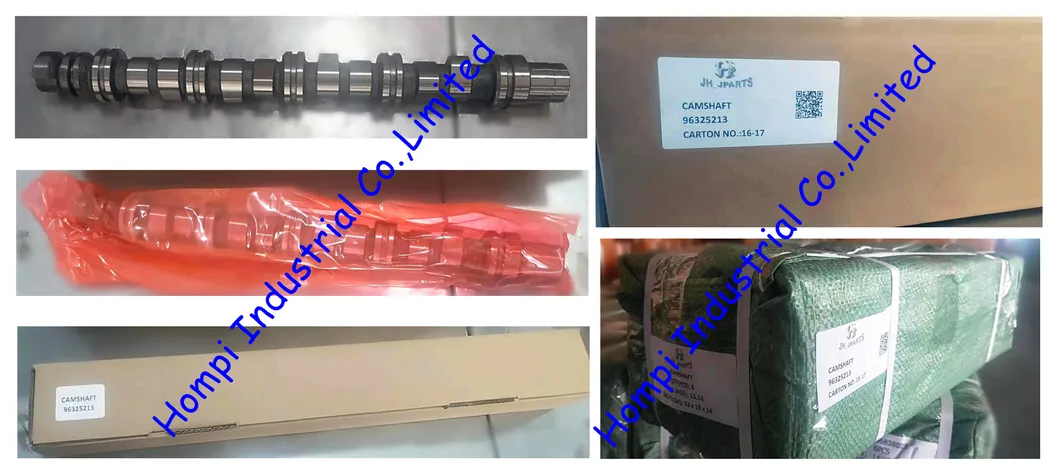 Auto Spare Parts Camshaft for Nissan Zd30 in/Ex 13001-2W201 13001-dB000 H25/Ka24/Ld20/Ld23/Na20/Pd6/PE6/PF6t/Rd28/Rd28ti