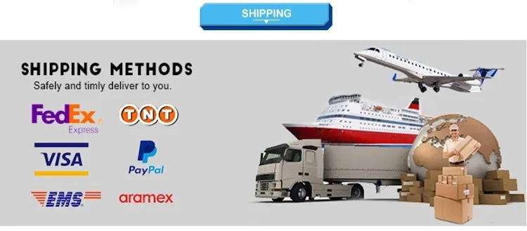Auto Truck Parts Engine Mounting for Hino 12031-1801 12035-2340 12031-1020 12801-1080 12031-2530 12031-2021