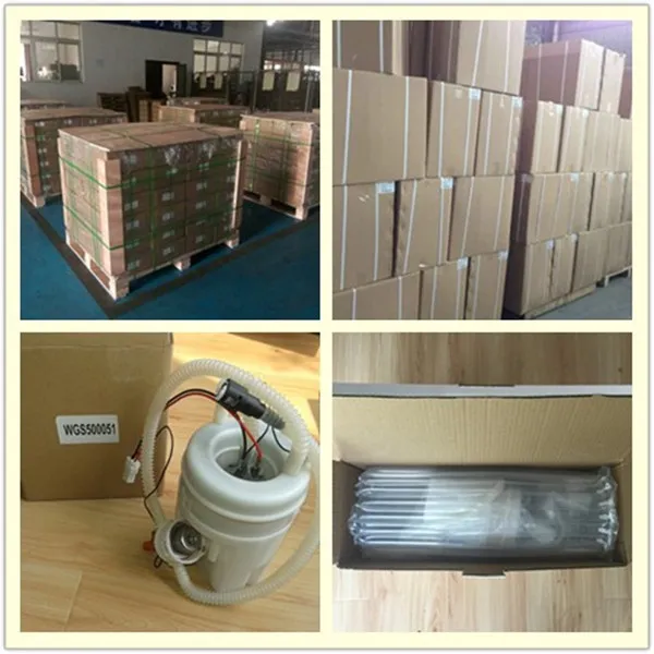 Automotive Fuel Pump Assembly for Freelander Wfx000210