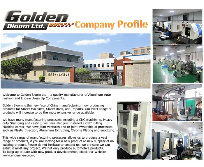 Banjo Bolt Set with Washers Fitting Adapter