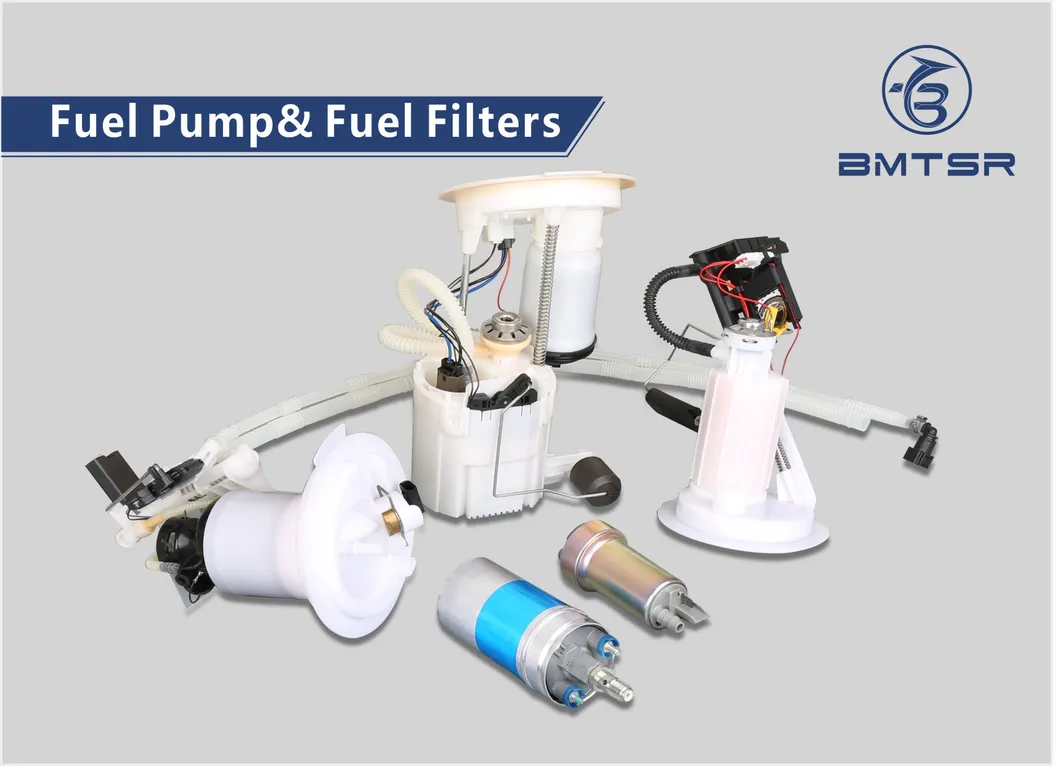 Bmtsr Auto Parts 220I 320I 325I 328I M135I 420I Fuel Pump Assembly for F20 F30 F21 OEM 16147273276