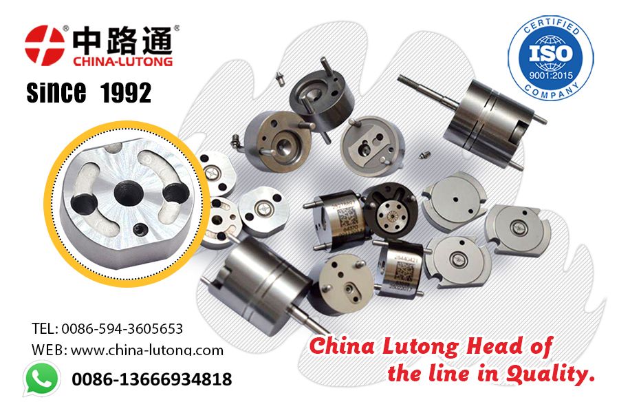 Common Rail Injector System Orifice Plate 295040-6290 for Common Rail Injector 095000-6250 Work with Nozzle Dlla152p947 093400-9470