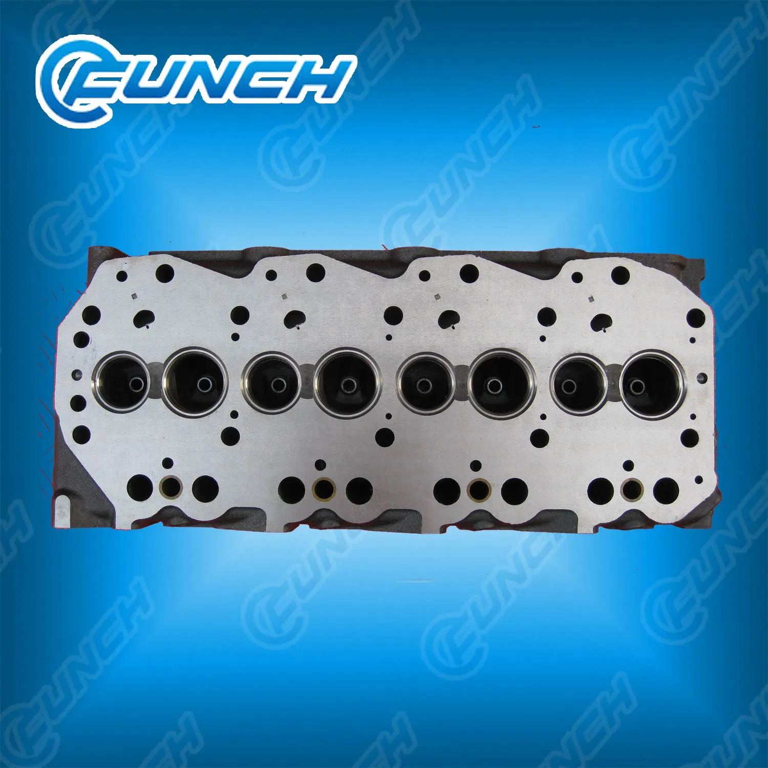 Cylinder Head for Nissan OEM Number 11041 -6t700 and Engine Qd32
