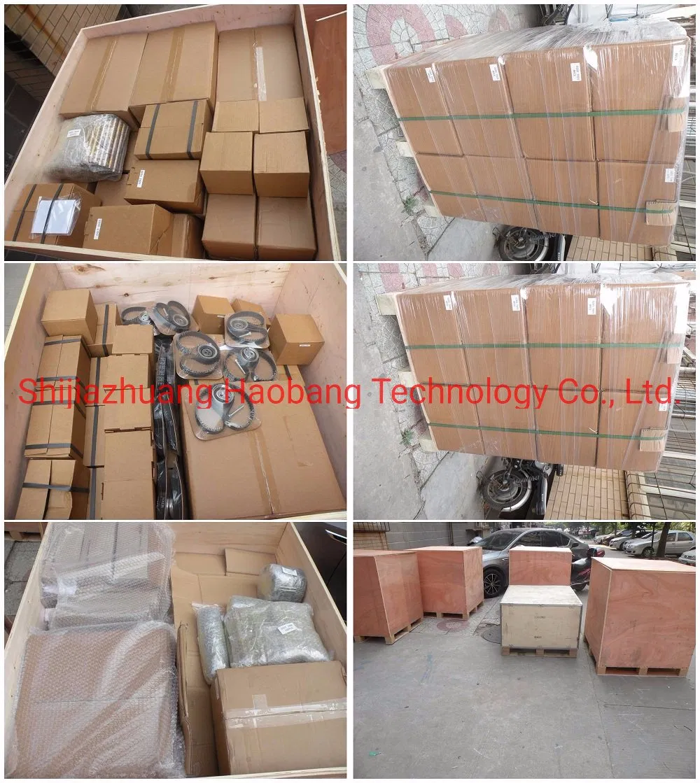 Deutz Diesel Engine Part Piston for (413) Motor