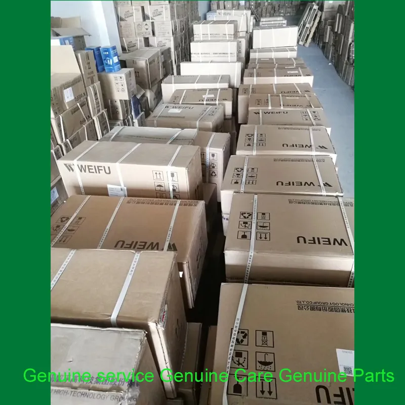 Engine Fuel Injection Pump Assy 0445020029 0445020081 0445020608 0445020608 for Heavy Duty Machinery Vehicles
