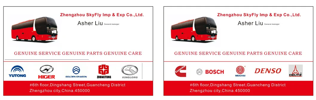 Engine Fuel Injection Pump Assy 0445020029 0445020081 0445020608 0445020608 for Heavy Duty Machinery Vehicles