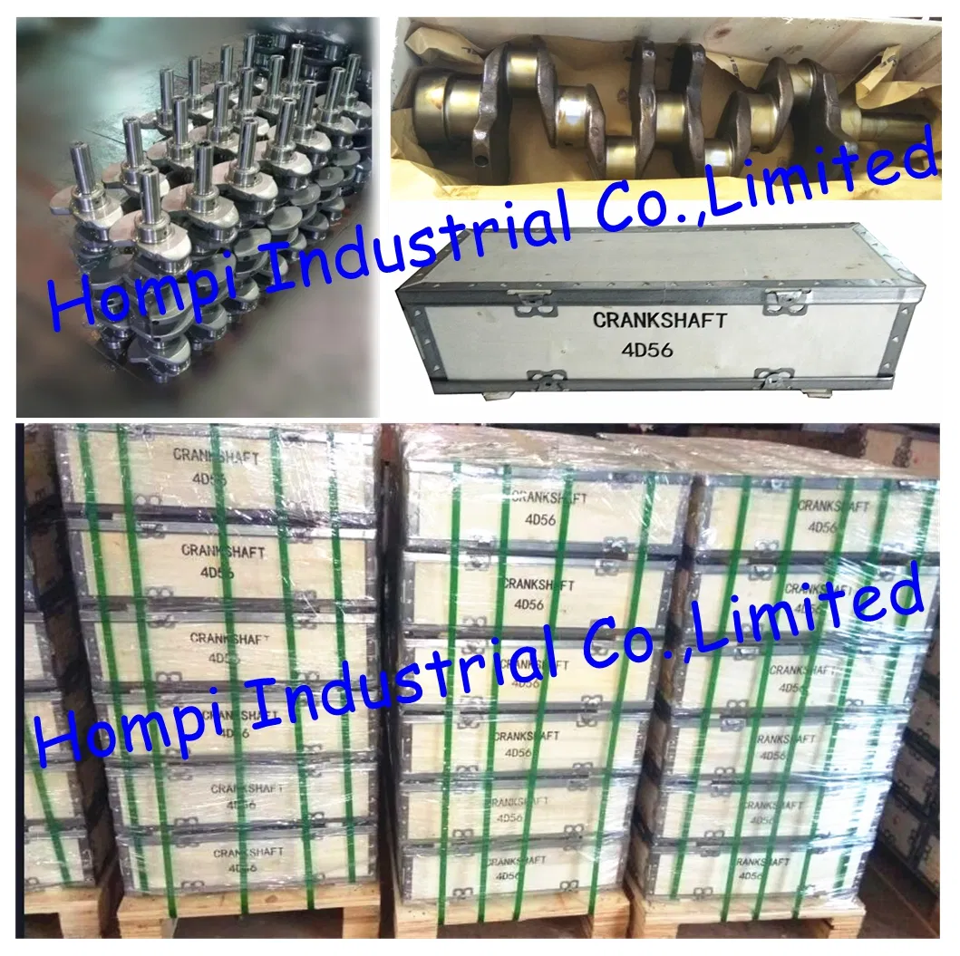 Engine Parts Alloy/Forged Steel Crankshaft for 4bt 3907803 3960621 3929036 3908031 6bt/6CT/6L/Isf2.8/Isf3.8/4isbe/Nt855/K19/M11/Nh220