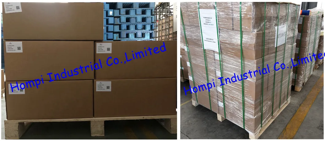 Engine Spare Parts Cylinder Head for Ford Rocam1.6 Xs6e6049ab Wl-T/4hu / 4hv/2.4L 2.4tddi/2.8L V6/