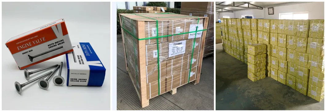 Engine Valve Auto Parts Intake Exhaust Valve 13715-25010 1371525010 for T2t