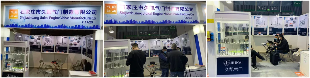 Engine Valve Intake Exhaust Valve 0948f2 0948. F2 for ED3 Sebring 2.4