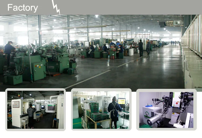 Erikc 0445116039 0445116040 Diesel Fuel Injectors 0 445 116 039 0 445 116 040 Injection Pump 0986435422 95811012851 for Audi VW