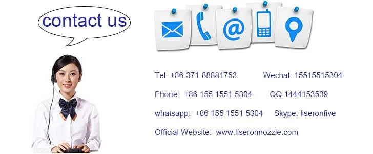 Erikc 2934001200 Oil Dispenser Nozzle 293400-1200 Fuel Injector Nozzle G3s120 for Cummins Isf3.8 5365904 5284016