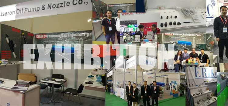 Erikc 6460701187 A6460701187 Diesel Fuel Injector 0445115073 0445115074 Crdi Injector 0 445 115 073 0 445 115 074 for Bosch Piezo