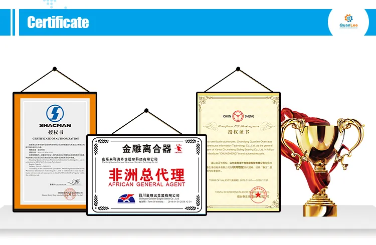 Evb Exhuast Pipe Wg9725542041 for Sinotruck HOWO