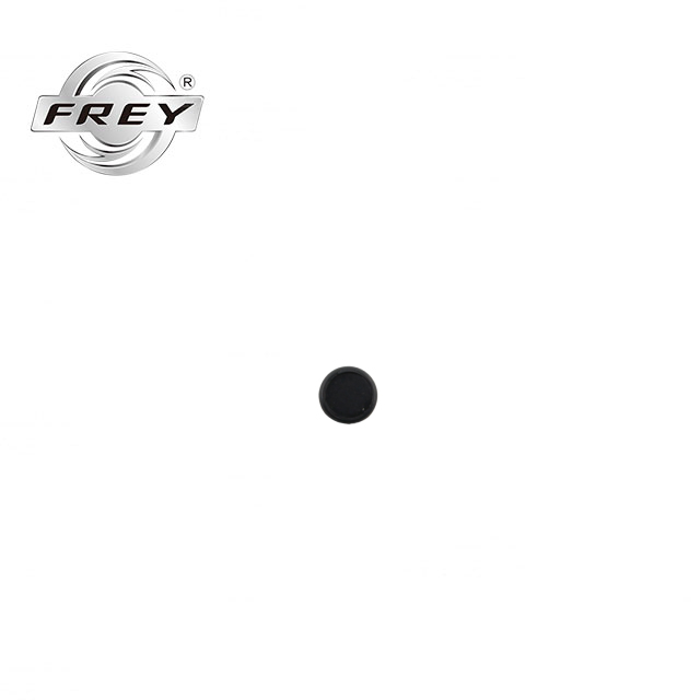 Frey Auto Parts Timing Chain Guide Rail Plug 0009976420 for M274 M271 W204 W212 W211 W213 C238