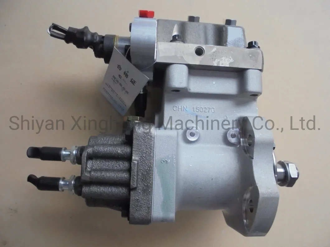 Fuel Injection Pump 3973228/4954200/4921431 for Cummins Qsl9/Qsc8.3 Engine