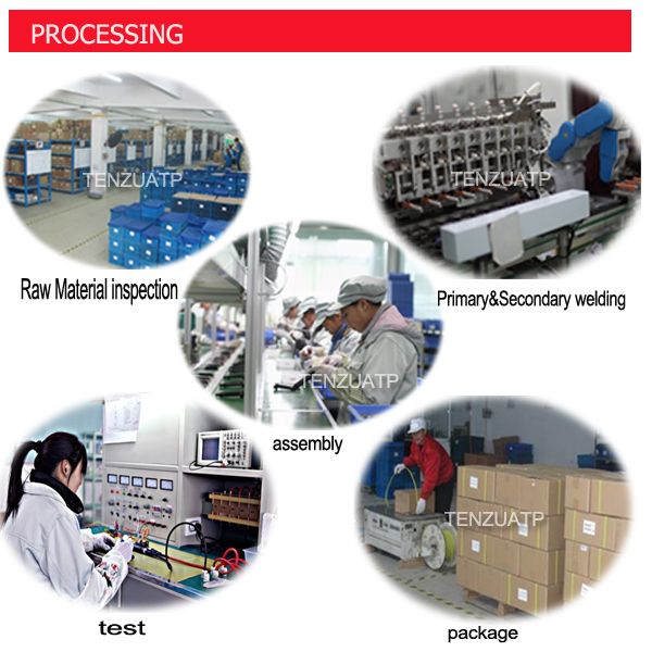 Fuel Injector for Holden Commodore Cadillac Cts/Srx/Sts 0280156131 020156131 12571159