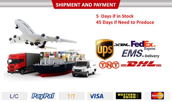 Fuel Injector for Holden Commodore Cadillac Cts/Srx/Sts 0280156131 020156131 12571159