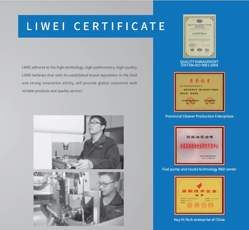 G3s12 Liwei Diesel Fuel Injection Common Rail Diesel Spare Parts Nozzle for Hino J05e/J06/J08e 295050-0231/23670-E0400