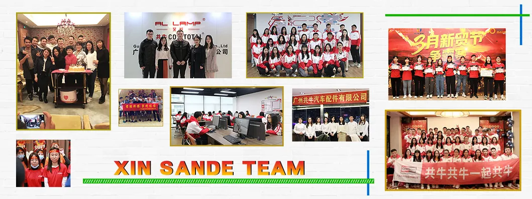 High Performance Auto Fuel Pump Module Assembly for Chevrolet Gamma GS10 13510795