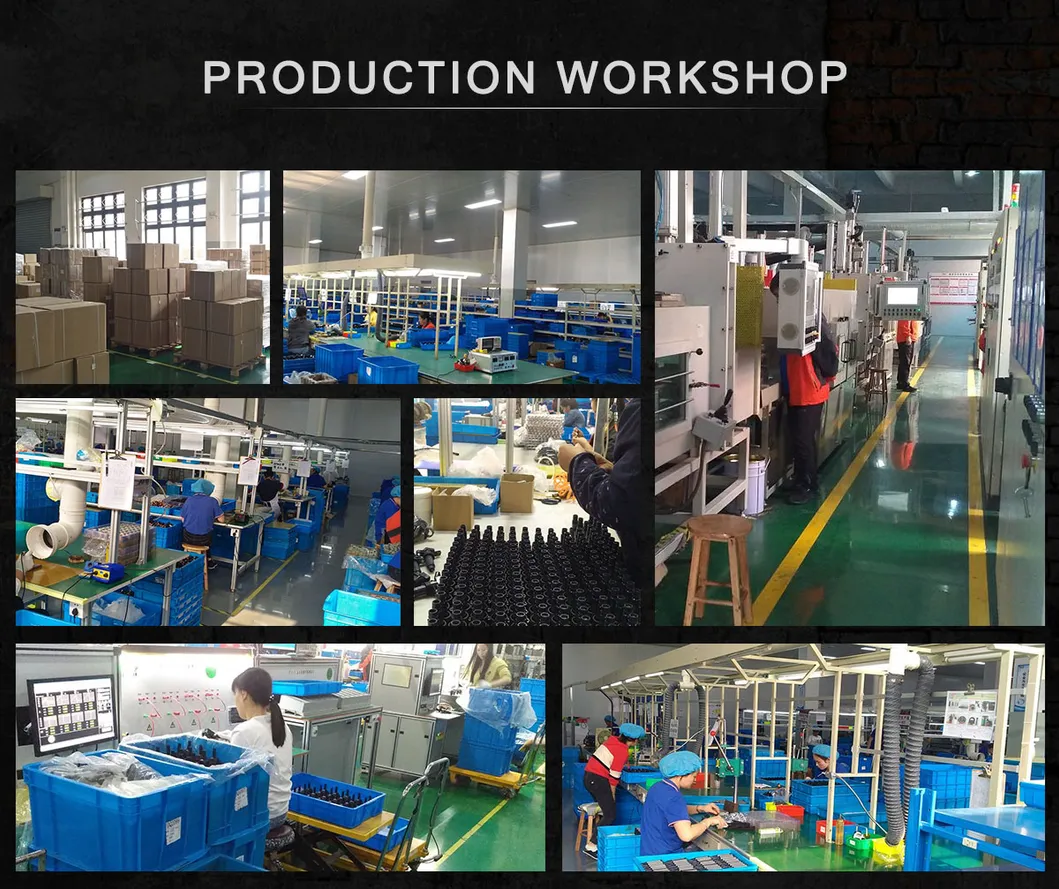 High Performance Auto Fuel Pump Module Assembly for Chevrolet Gamma GS10 13510795