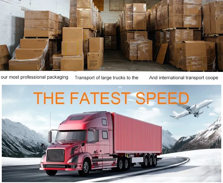 Hot Sell 12 12 0 037 580 with Great Price Spark Plug