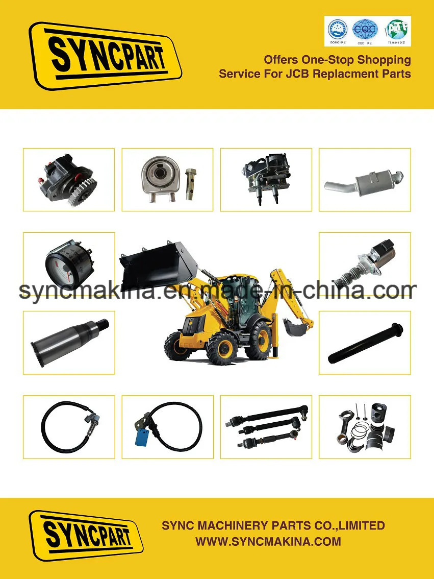 Jcb Parts Backhoe Loader Spare Parts for Cable 910/60109 02/291252 04/500303 120/30002 1305/3222z 1305/3226z