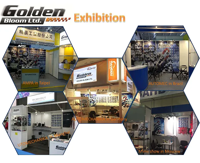 Male to Fuel Pump Fitting Banjo for Auto Part