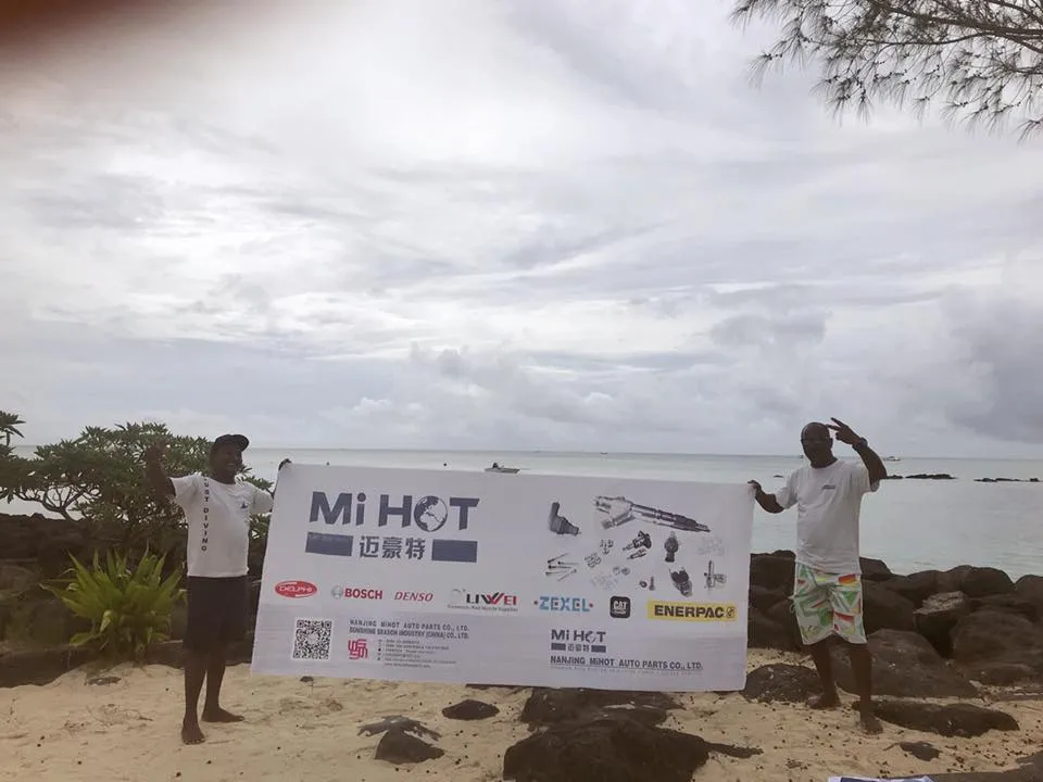 Original Delphi Actuator 7206-0379