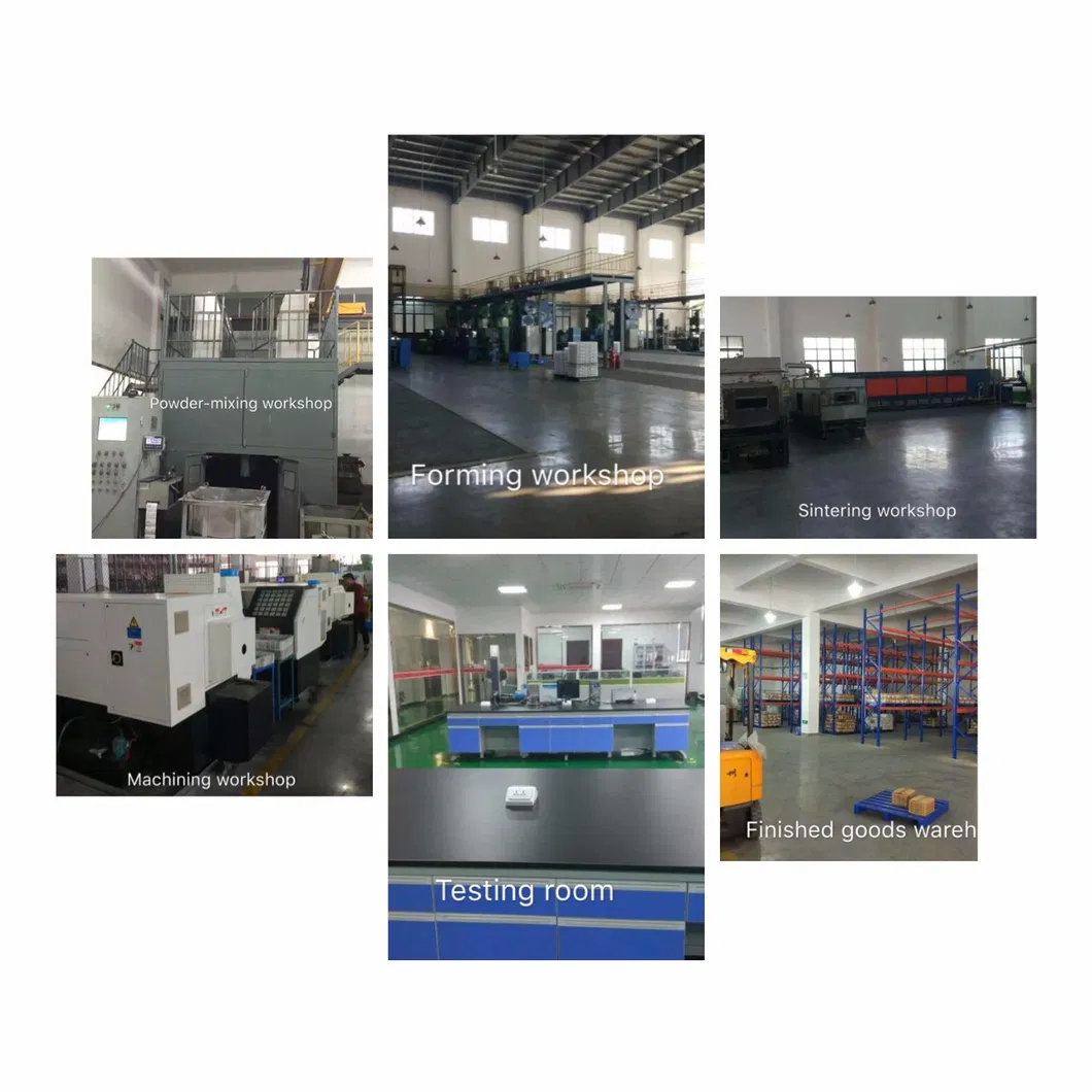 Sintered Oil Pump Rotor Hl308002