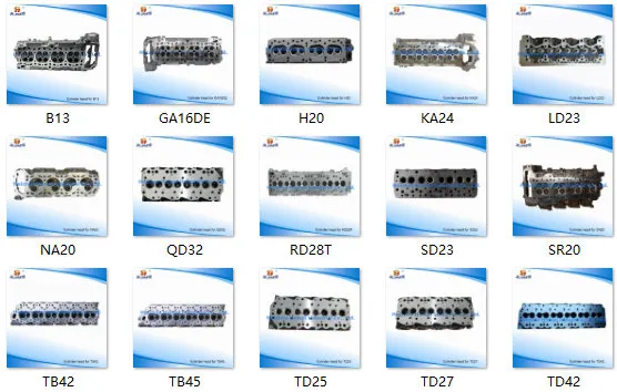 Spare Parts Cylinder Head for Nissan Ld23 11039-7c001 Amc909014 Bd30/SD23/SD25/F9q/B13/Sr20/Zd30/Yd22/Z20/H20/Tb45/Na20/Tb42