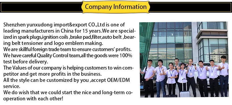 Spark Plug for Bmws Car 12 12 0 037 582 Zr5EPP33-S